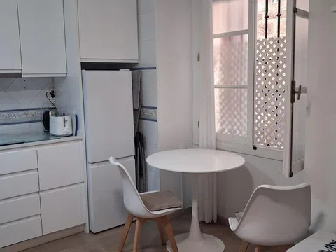 Flat / apartment in Centro Histórico - Plaza España, Cádiz
